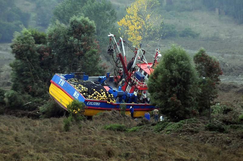 Témoignage de la violence du tsunami qui a ravagé les côtes chiliennes : ce bateau de pêche qui a littéralement volé jusqu’au milieu des terres, loin de son port d’attache. Quarante-huit heures après le tremblement de terre de magnitude 8,8, le dernier bilan officiel fait état de 723 morts et risque de s'alourdir. 