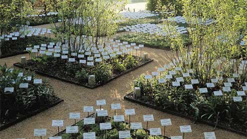 «Le jardin des plantes disparues.» (Eric Sander)
