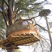 «La Cabane en l'air propose aujourd'hui quelque deux cents cabanes dans toute la France. (Crédits photo: DR)