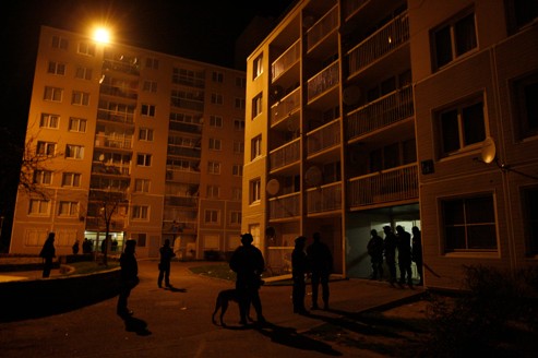 Les bandes s'organisent autour d 'un noyau de caïds qui cherchent à contrôler les quartiers.