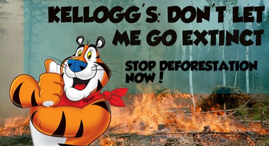 Campagne lancé par SumOfUs pour arrêter la déforestation. <i>Capture d'écran du site de SumOfUs.</i>