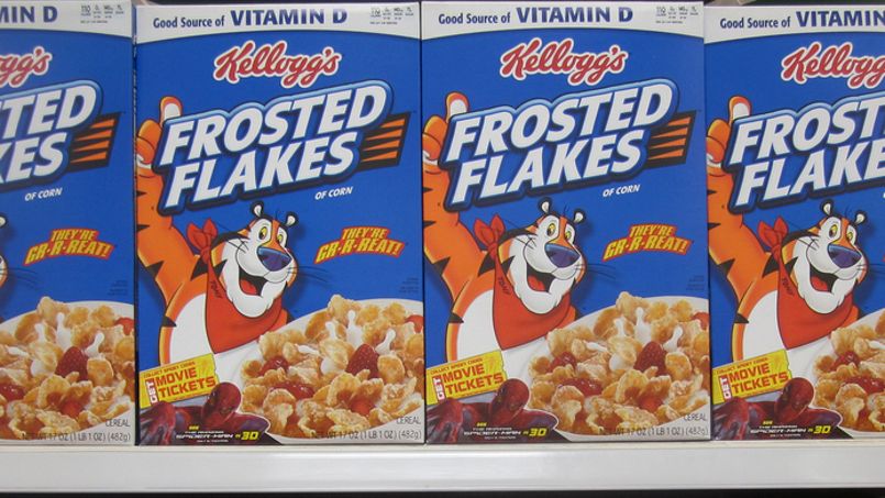 Le partenariat signé entre Kellogg's et Wilmar fait débat: l'entreprise indonésienne est accusée de détruire des forêts en Indonésie. <i>Crédits photo: Flickr.com</i>