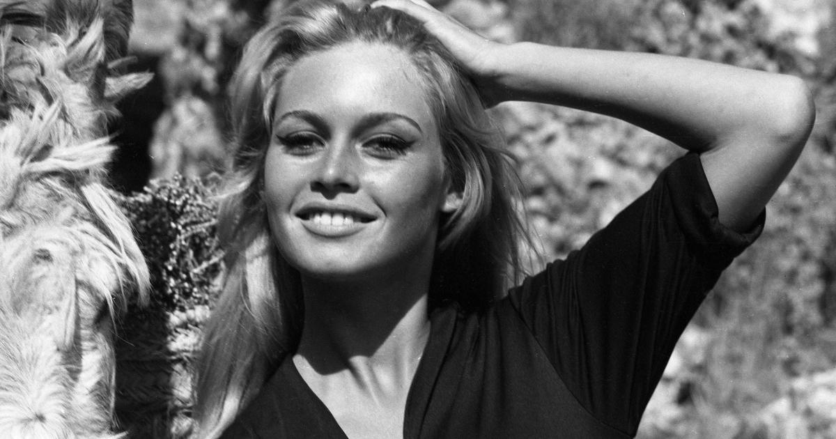 Brigitte Bardot: « J'ai vécu ma vie à mes risques et périls »