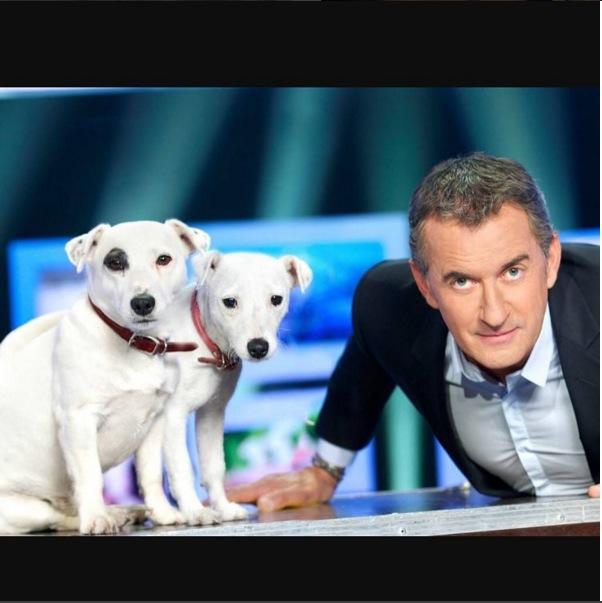 ADECK Le chien de Christophe Dechavanne