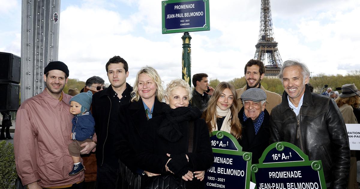 PHOTOS - Jean-Paul Belmondo : le bel hommage de son ex Natty, sa fille  Stella et tous ses proches
