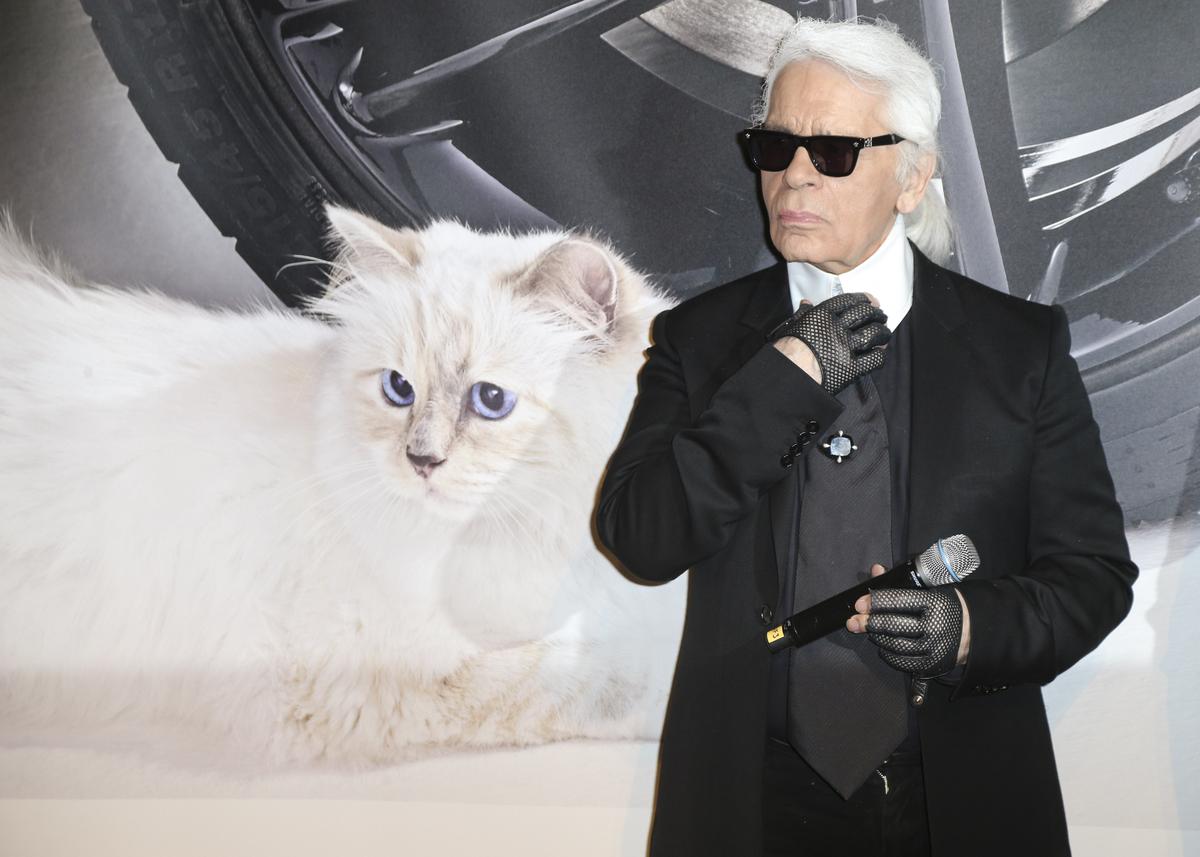Karl Lagerfeld : pourquoi Choupette, la chatte du couturier, n'a pas hérité de lui