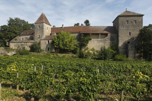 Le château et les vignes de Gevrey-Chambertain en Côte d’Or.Crédit photo: Sébastien Soriano / Le Figaro