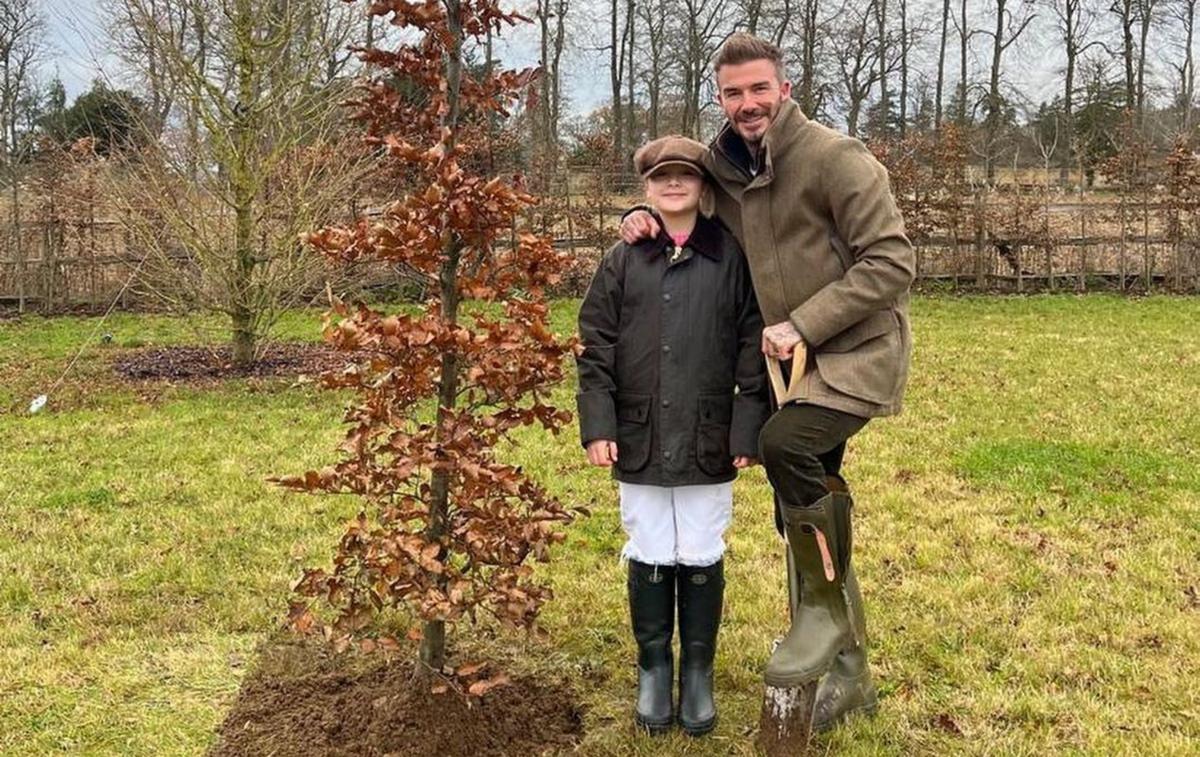 David Beckham et sa fille Harper, élégants jardiniers en tenue "countryside"