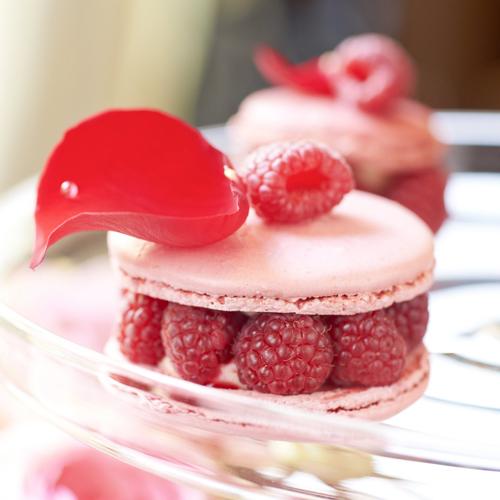 Ispahan Macaron Pierre Herme