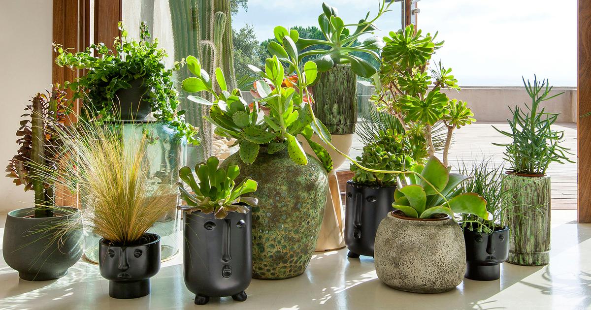 Cache-pots pour plantes d'intérieur : nos 10 coups de coeur
