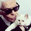 La chatte de Karl Lagerfeld lance sa ligne de maquillage