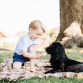 Le prince George a 3 ans : pourquoi il n'est plus un bébé