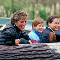 Lady Diana : les plus beaux hommages de William et Harry