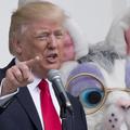 Donald Trump dédicace une casquette... et ne la rend pas à son propriétaire