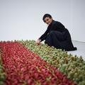 Ghada Amer, artiste franco-égyptienne, a créé un jardin "anti-machiste" de 16.000 cactus