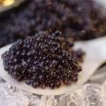 Du caviar, un petit grain de folie pour les fêtes