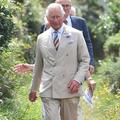 Le prince Charles s'associe à un duo de créateurs punk pour créer des robes à base d'orties
