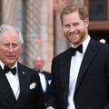 "Ils ont une relation très forte" : le prince Charles serait toujours le "roc" de son fils Harry