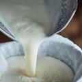Tout savoir sur le lait cru, cet "or blanc" qui valorise nos terroirs