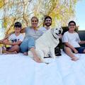 Céline Dion, ses 3 fils, ses 3 chiens : la photo à retenir de la Fête des mères américaine