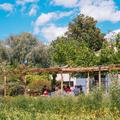 Maison d'hôte, oasis rétro, villa d'architecte... Nos meilleures adresses pour un week-end à Arles