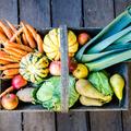 Les dix aliments santé de l'automne