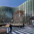 Entre kawaï et zen, balade urbaine et contemporaine dans Tokyo