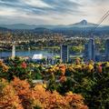 Portland, le nouvel eden du cool