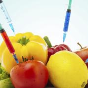 Fusion Bayer-Monsanto : sera-t-il encore possible de bien se nourrir ?