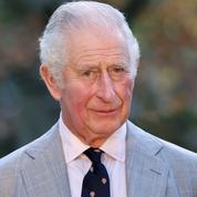 Dans ses vœux pour la nouvelle année, le prince Charles rend hommage aux défenseurs des droits humains