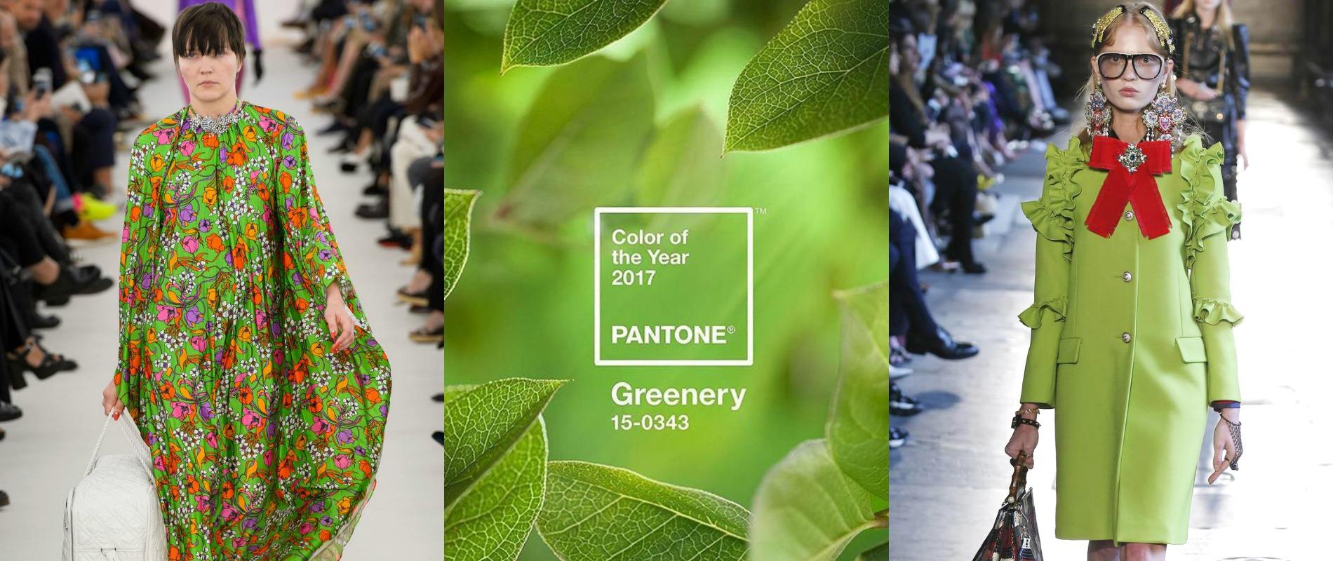 Vert Greenery Cest La Couleur De Lannée 2017 Selon