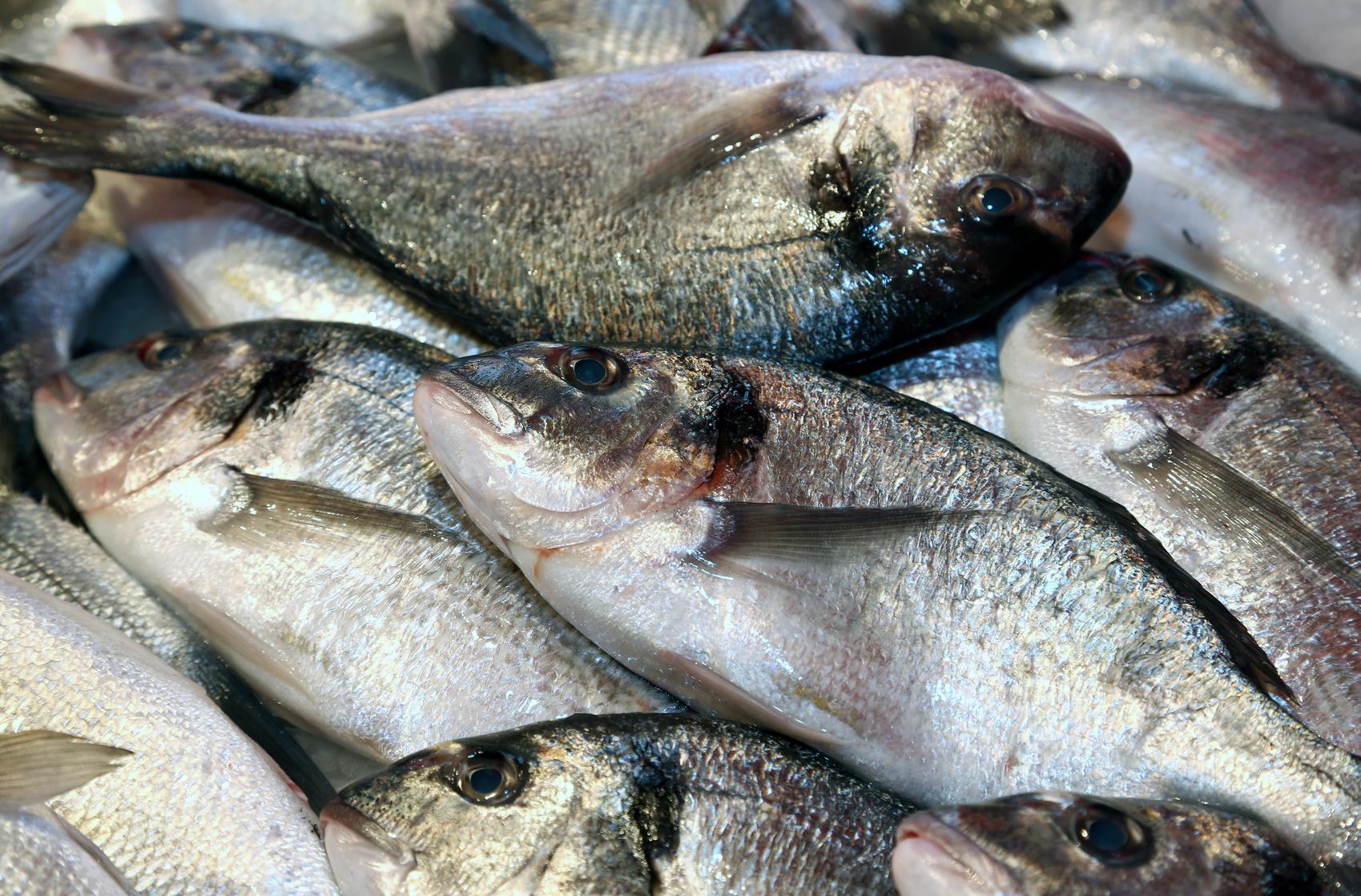 Recettes poisson - Cuisine / Madame Figaro