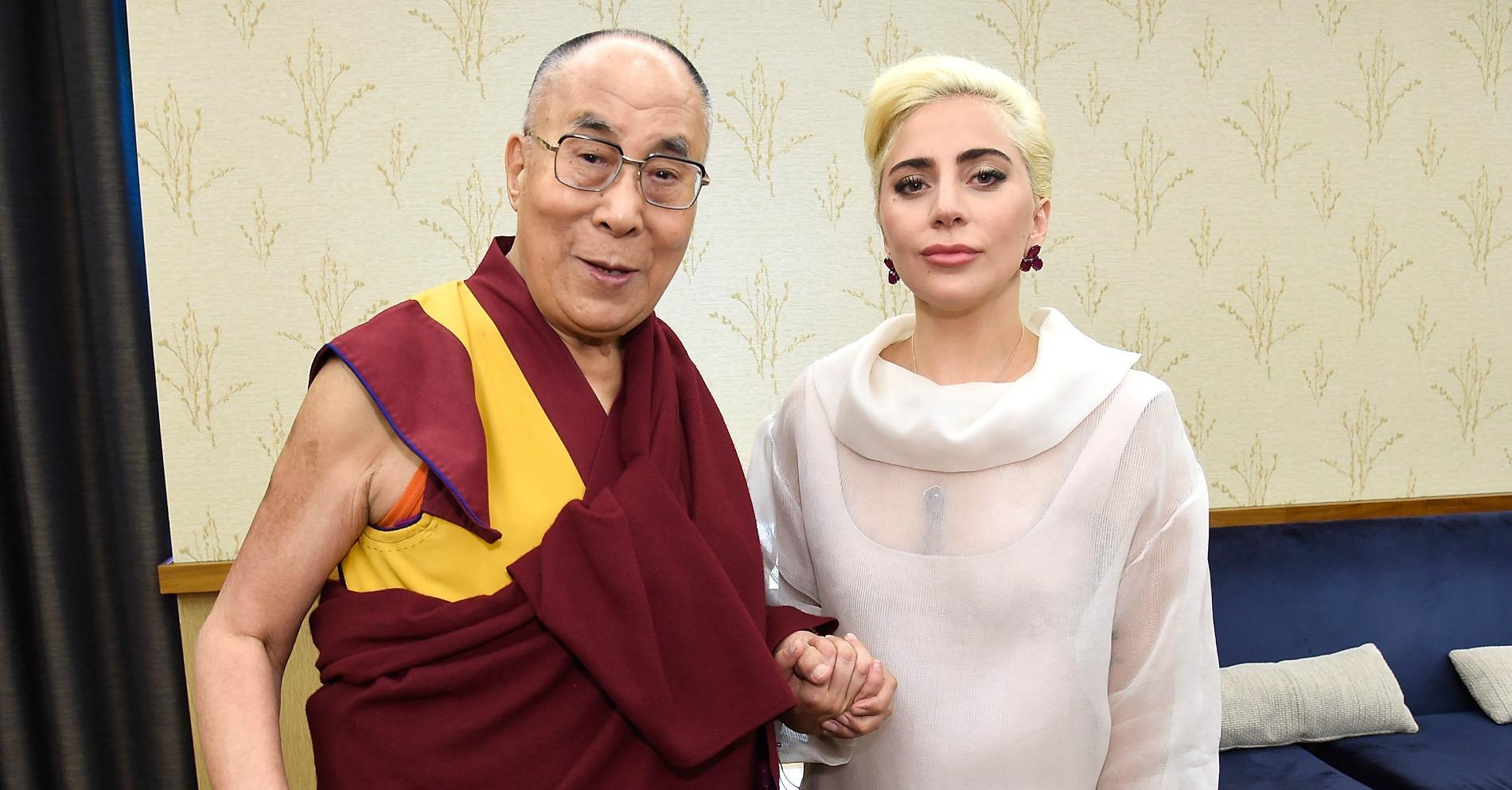 a la rencontre des lamas