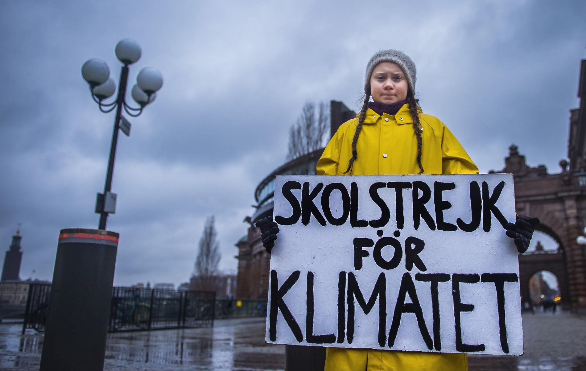 Image result for greta thunberg
