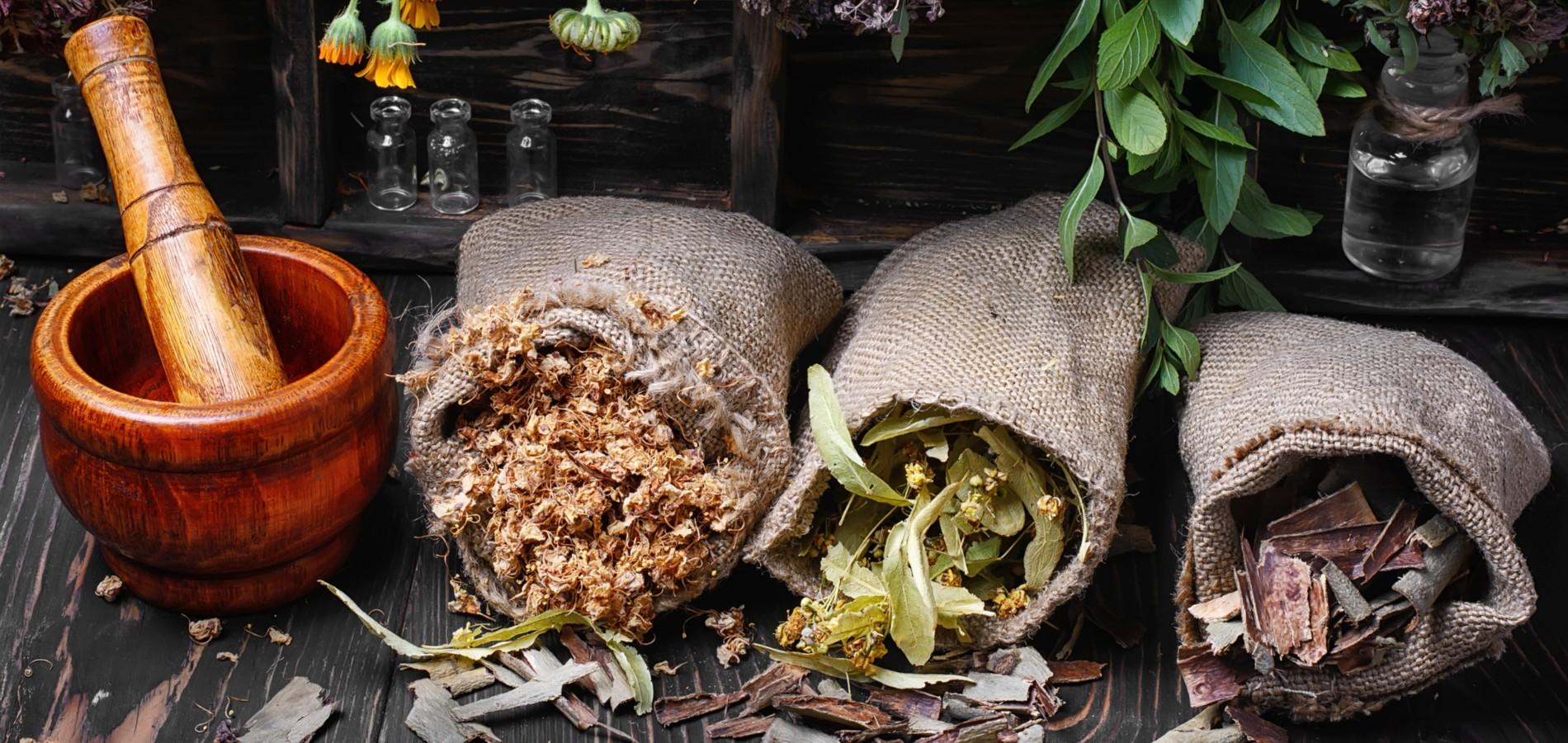 Homeopathie Et Phytotherapie Quelles Differences Homeopathie Et Phytotherapie Quelles Differences