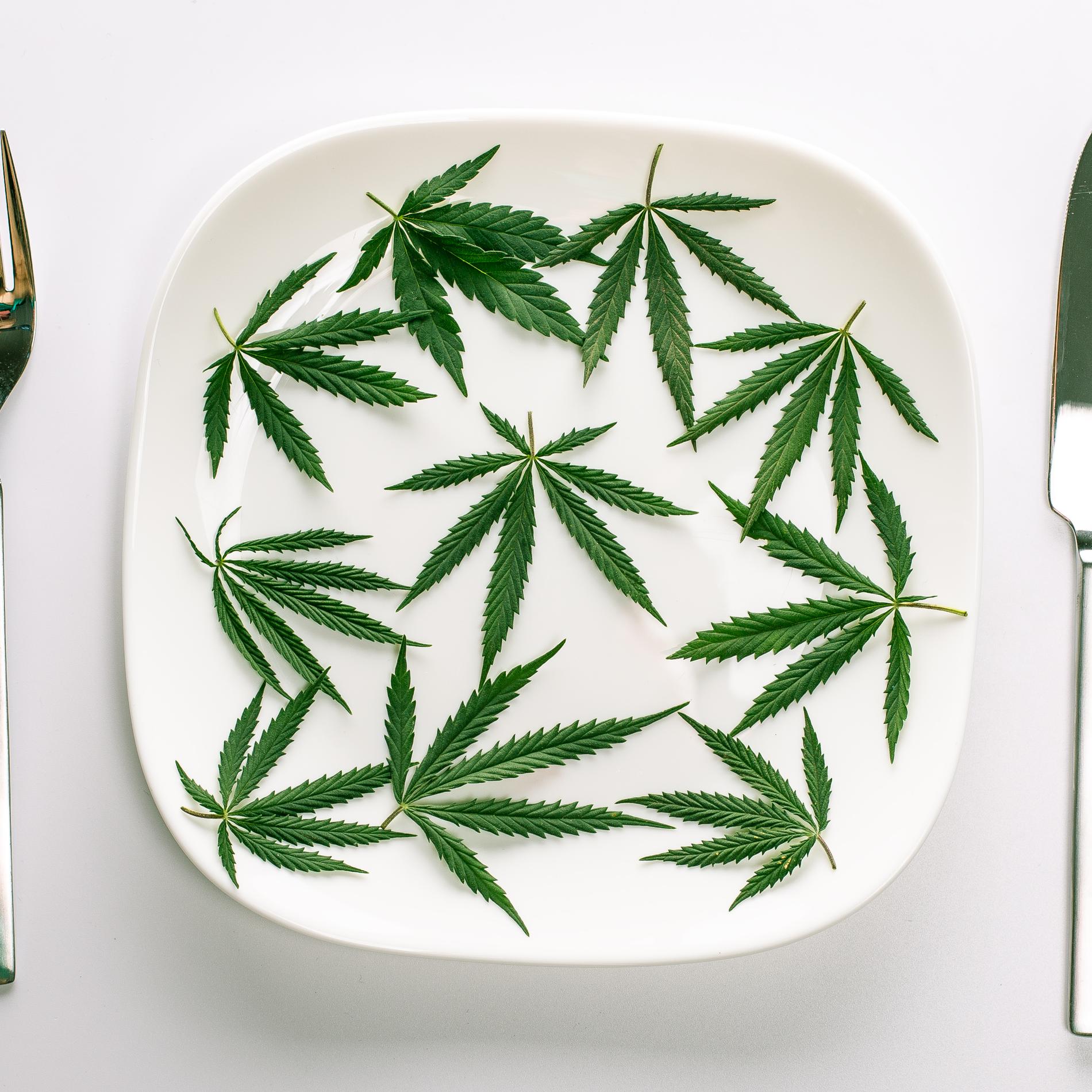 Pizza Soda Huile Le Cbd Dans L Assiette Ou La Curiosite Sans Les Effets Cuisine Madame Figaro