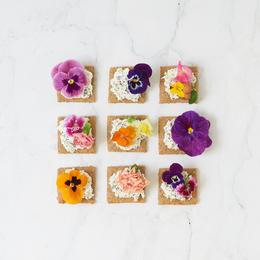 Aperitif Et Amuse Bouche Recettes En Moins De 30 Minutes