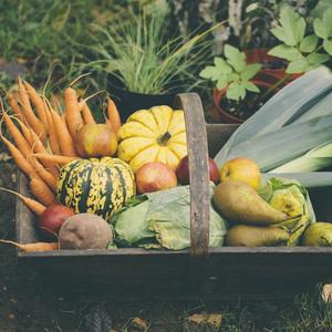 Automne : quels sont les produits de saison ?