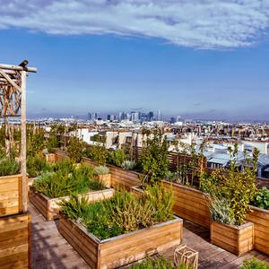 Philippe Starck nous ouvre les portes de Brach, son nouveau palace parisien