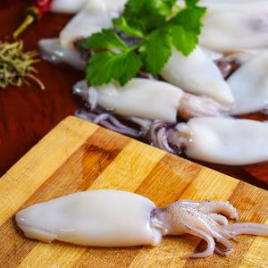 Seiche, calamars, encornets, ne plus les confondre 