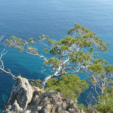 Porquerolles Une Certaine Idée De Lécologie Madame Figaro