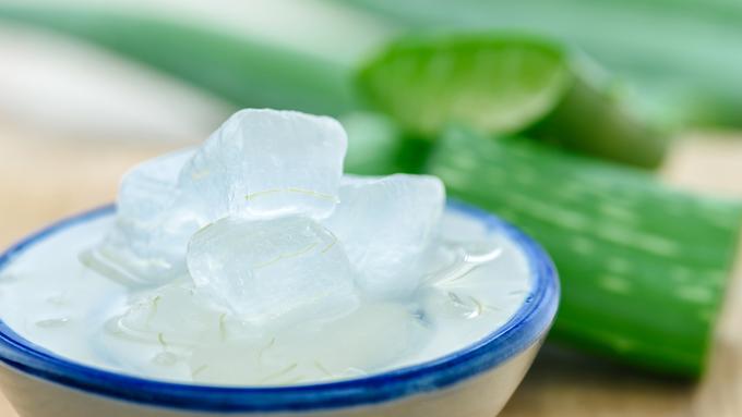 Comment préparer et déguster le gel d'aloe vera maison