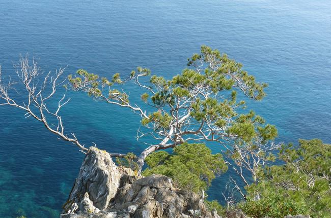 Porquerolles Une Certaine Idée De Lécologie Madame Figaro