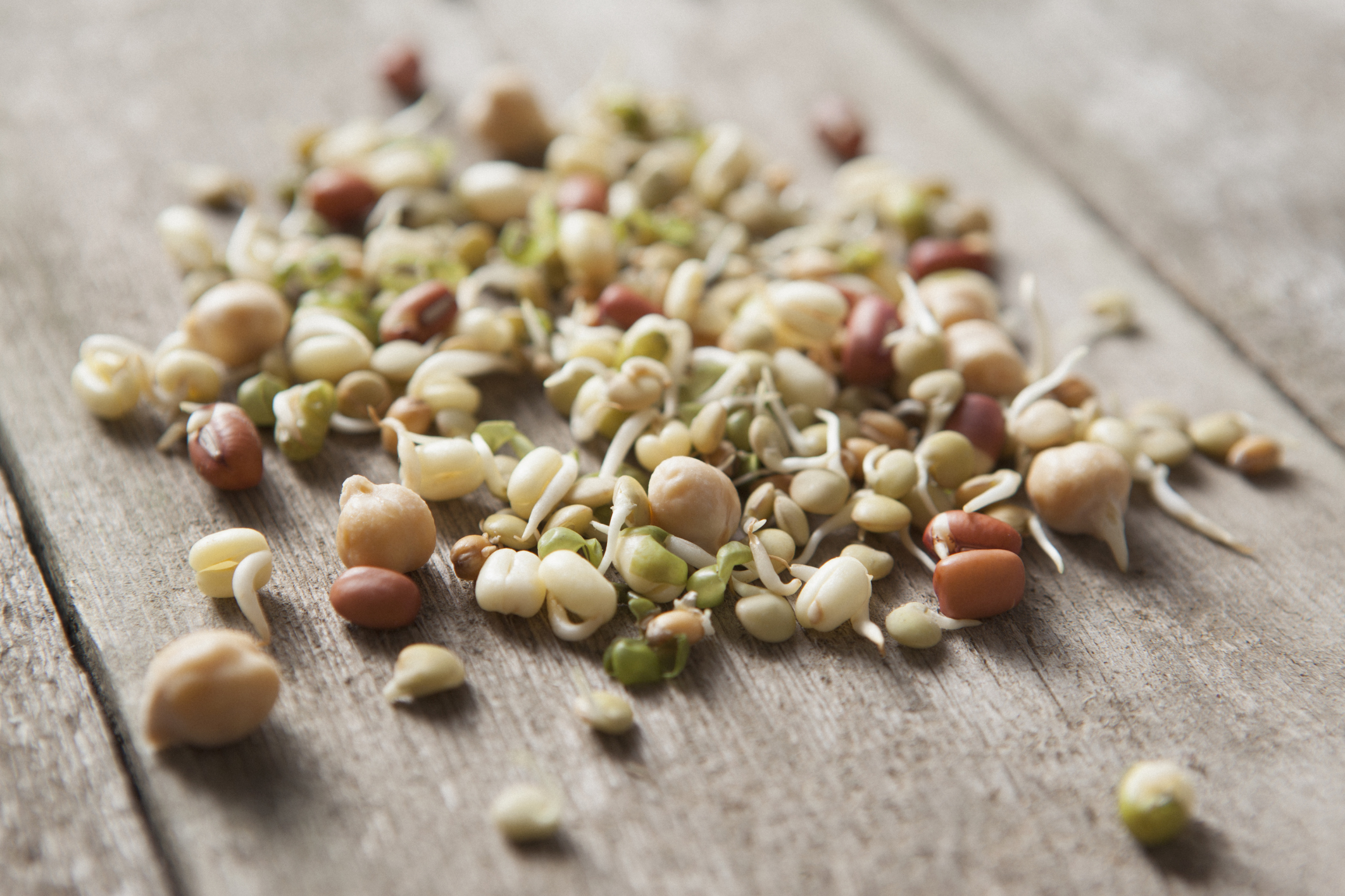 Des graines germées, mais quelle idée? – Happy Healthy Simply