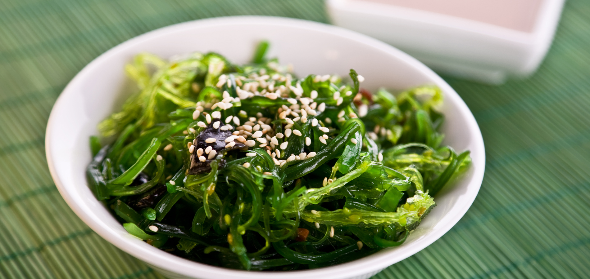 Comment cuisiner les algues fraîches salées au quotidien ? – BRETALG