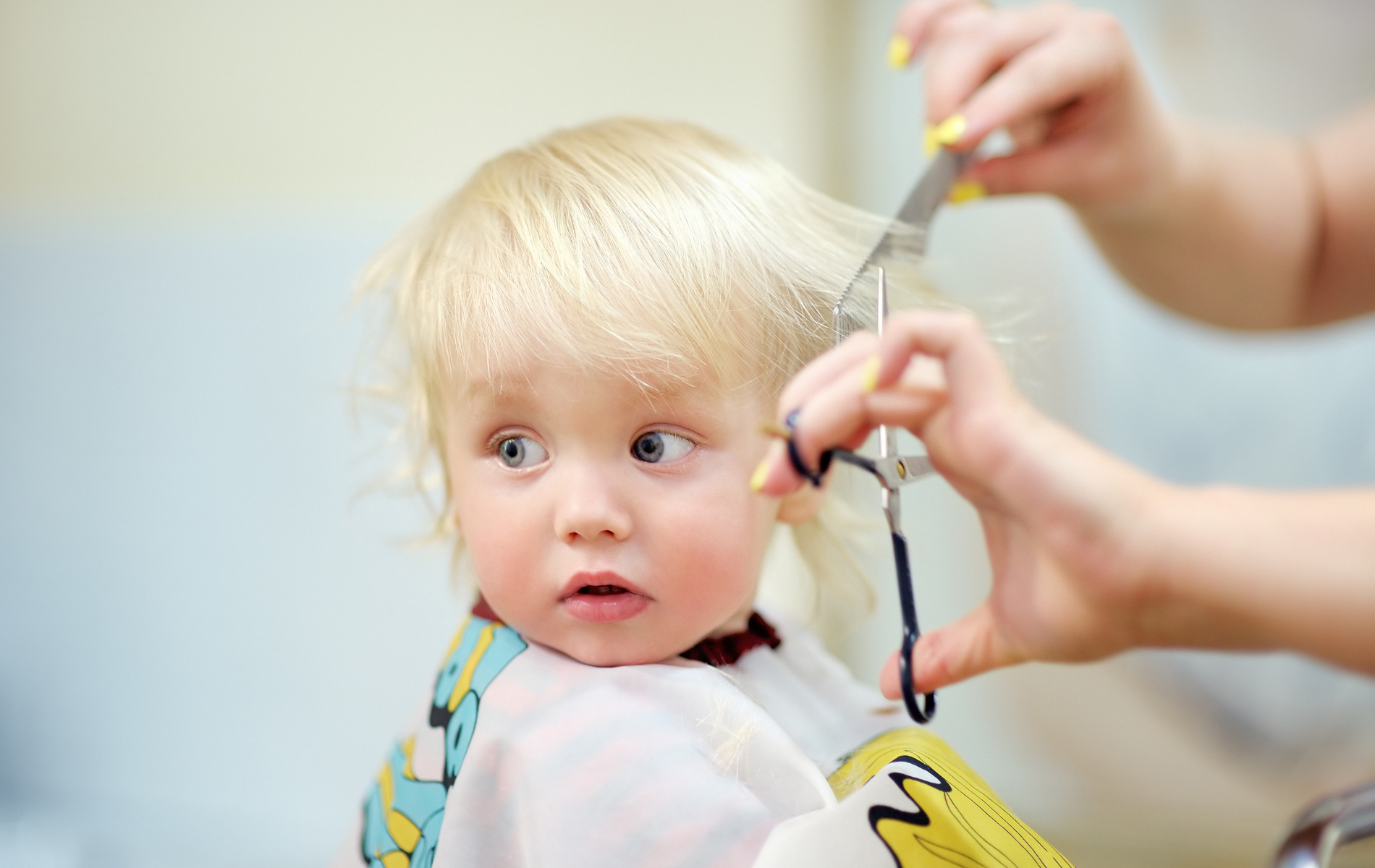 Accessoires photo pour bébé fille de 0 à 6 mois, coiffure