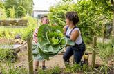 Le bonheur est dans le jardin
