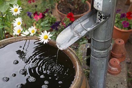 Récupérer Leau De Son Toit Seulement Pour Larrosage