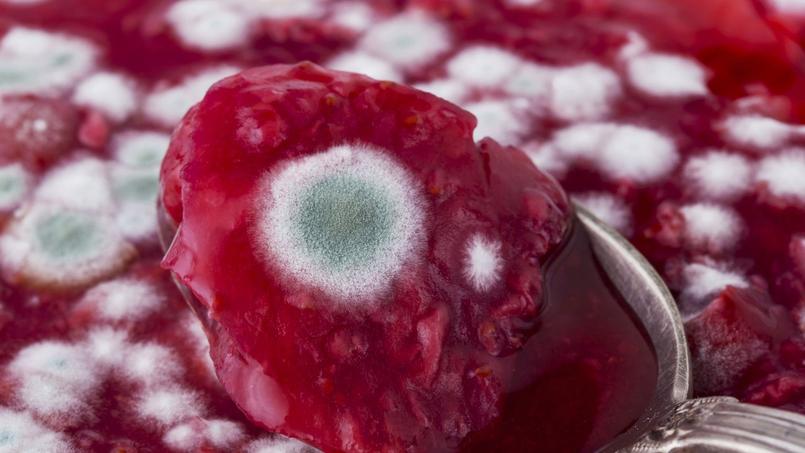 Effets Secondaires La Penicilline