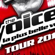 Toute la France réclame The Voice Tour